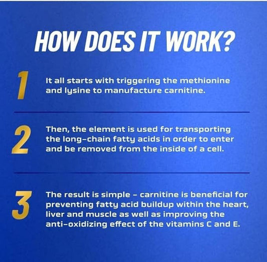 Ronnie Coleman L-Carnitine XS 3000 Liquid