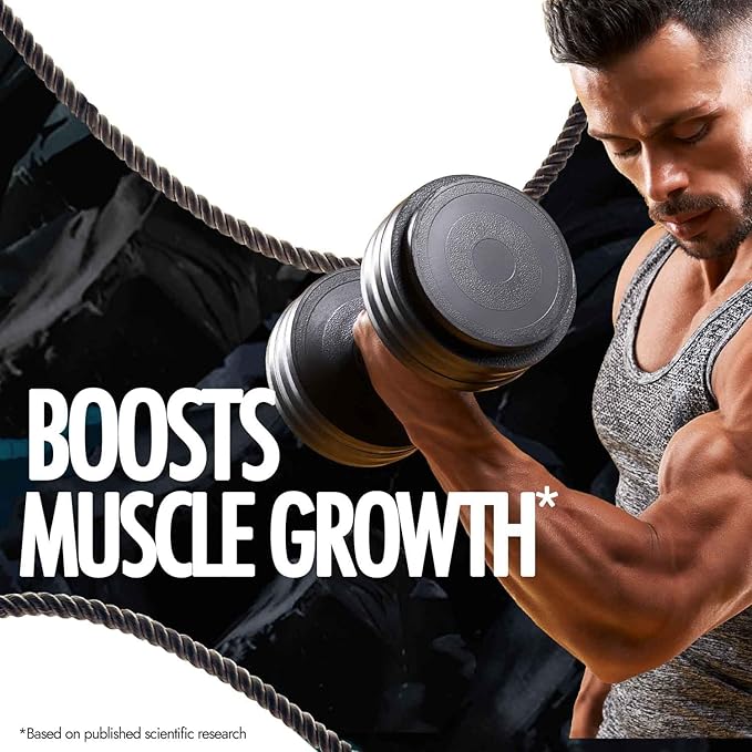 Kapiva Testofuel Shilajit Whey Protein